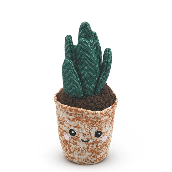 ZL Spikey Cactus Plush Toy for Dogs