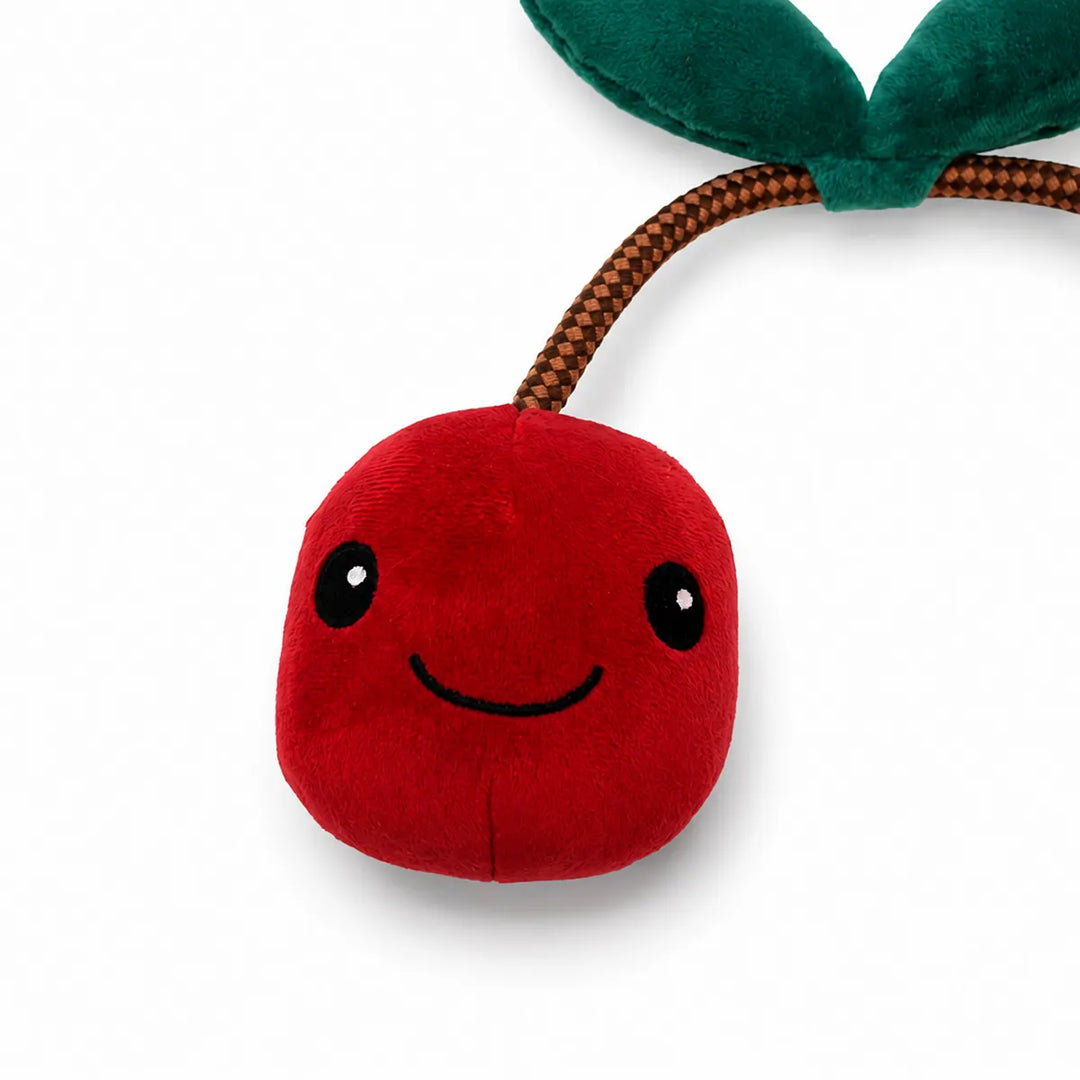 ZL Cherry Pop Rope Toy for Dogs