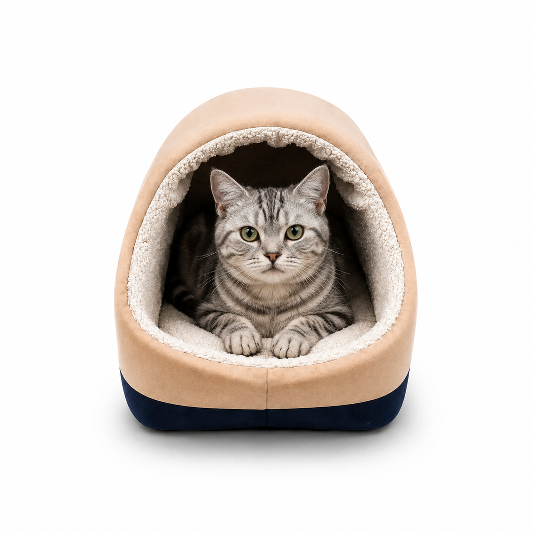 ZL Sneaker Snooze Cat Bed