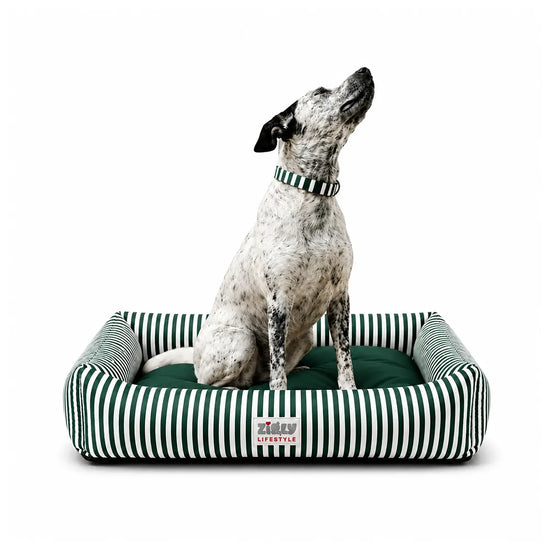 ZL Green Stripe Lounger Dog Bed