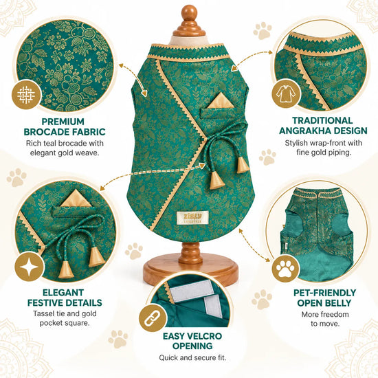 ZL Royal Teal Brocade Kurta for Dogs