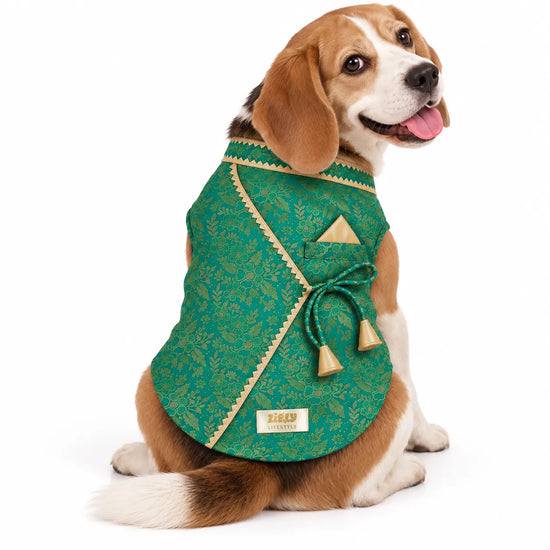 ZL Royal Teal Brocade Kurta for Dogs