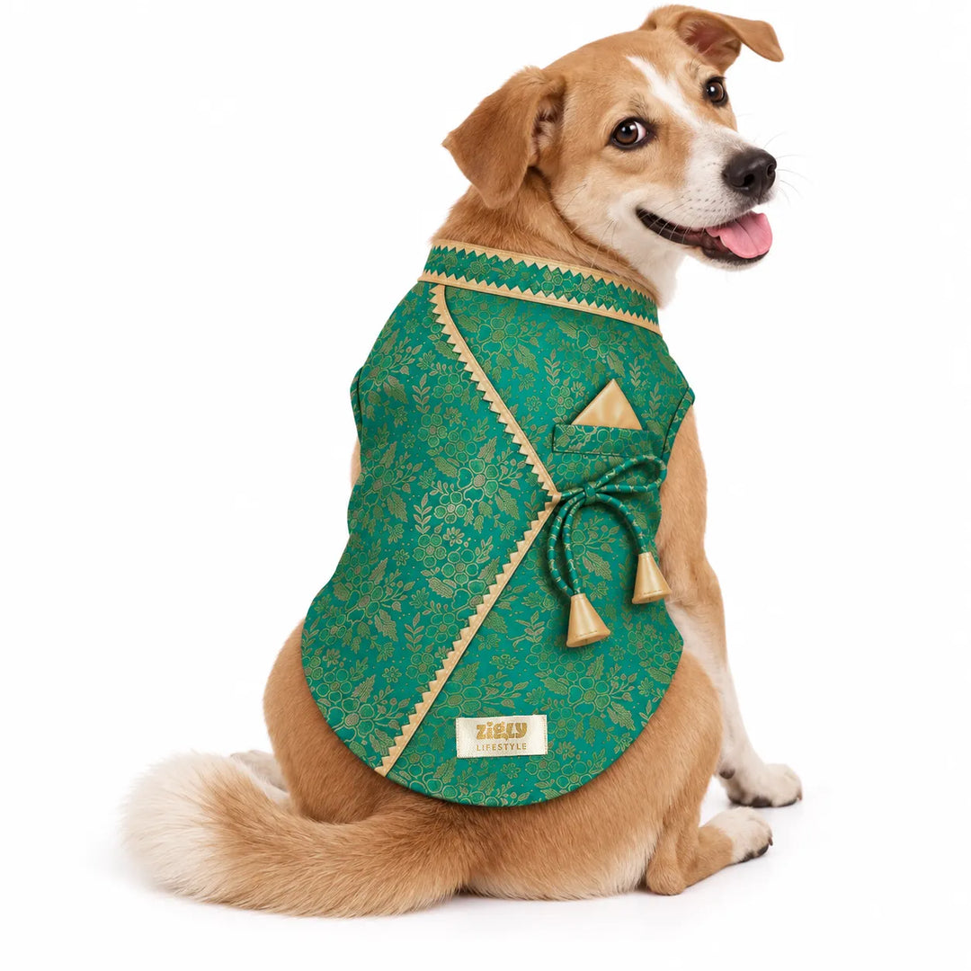 ZL Royal Teal Brocade Kurta for Dogs