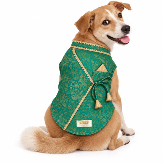 ZL Royal Teal Brocade Kurta for Dogs
