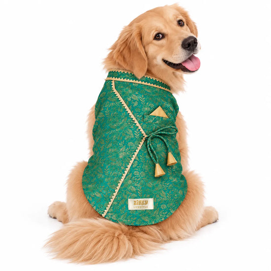 ZL Royal Teal Brocade Kurta for Dogs