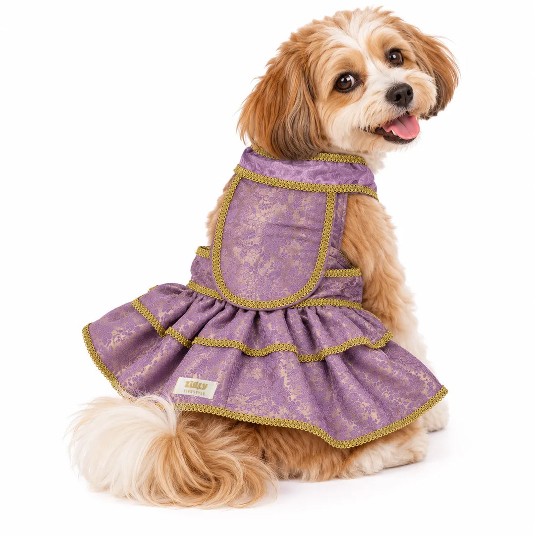 ZL Mauve Brocade Lehenga for Dogs