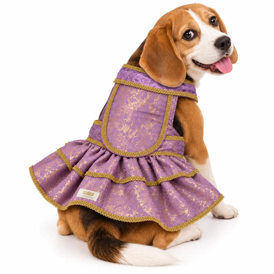 ZL Mauve Brocade Lehenga for Dogs