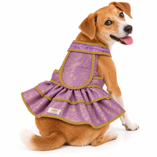 ZL Mauve Brocade Lehenga for Dogs