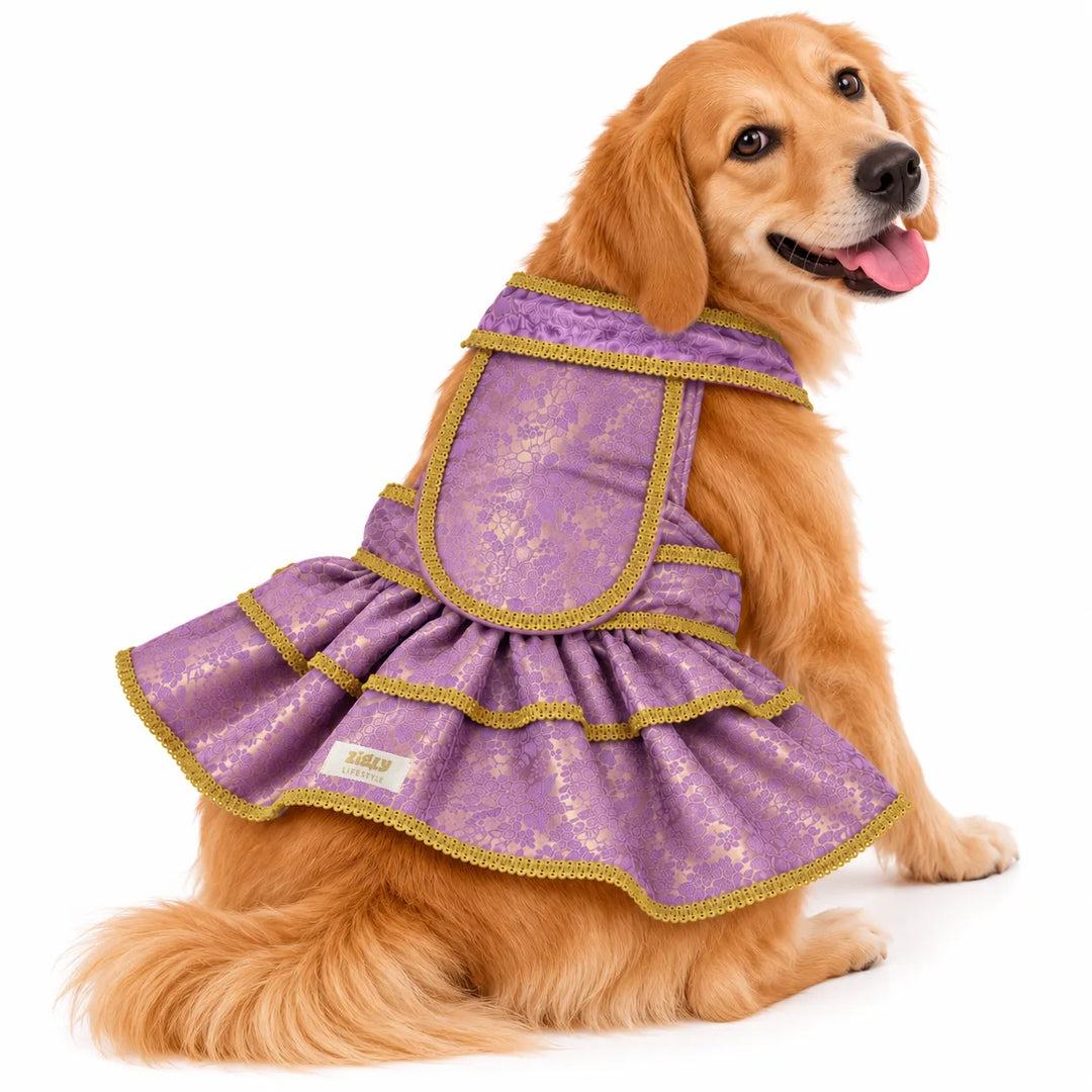 ZL Mauve Brocade Lehenga for Dogs