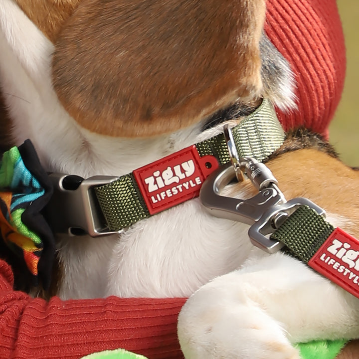 ZL Classic Olive Green Dog Collar