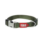 ZL Classic Olive Green Dog Collar - Zigly