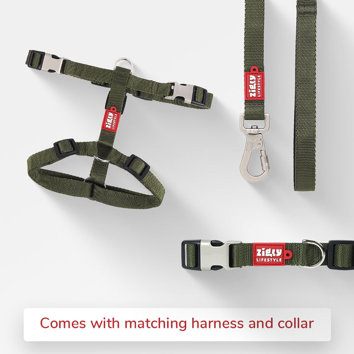 ZL Classic Leash Olive Green