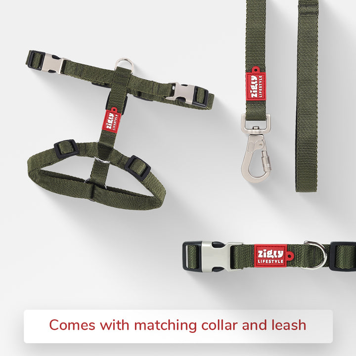 ZL Classic H Harness Olive Green