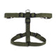 ZL Classic H Harness Olive Green