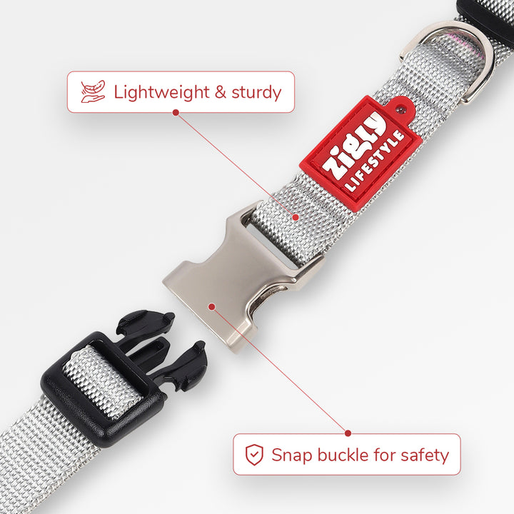 Zl Classic Silver Dog Collar