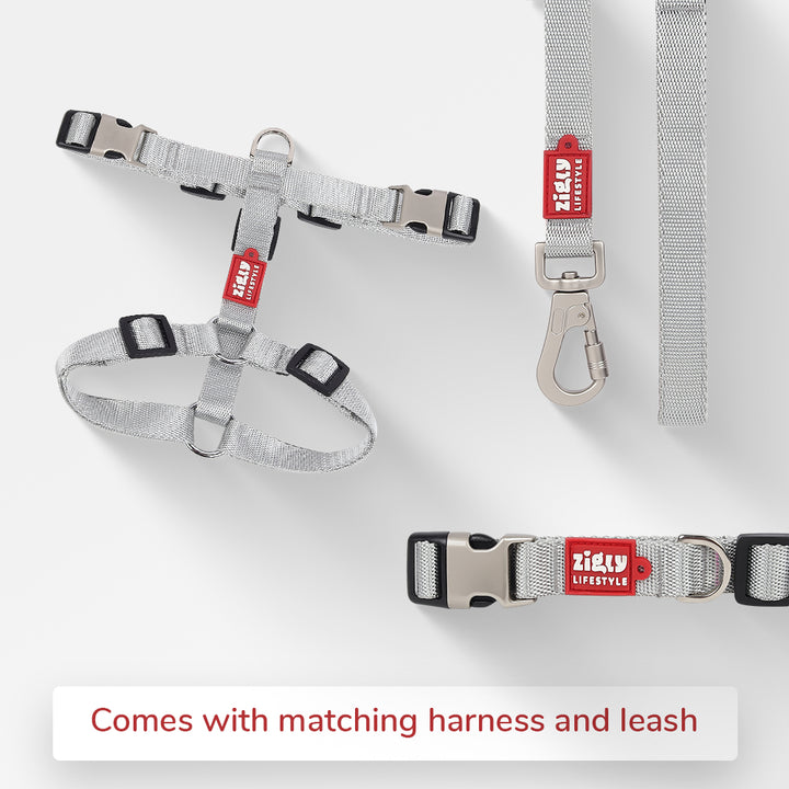 Zl Classic Silver Dog Collar