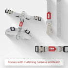 Zl Classic Silver Dog Collar - Zigly