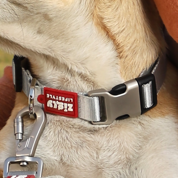Zl Classic Silver Dog Collar