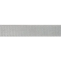 Zl Classic Silver Dog Collar