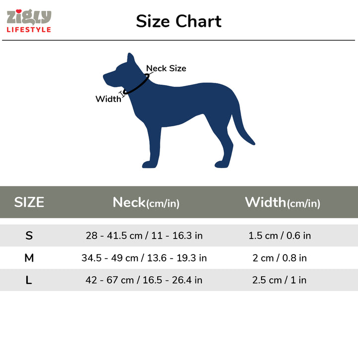 Zl Classic Silver Dog Collar