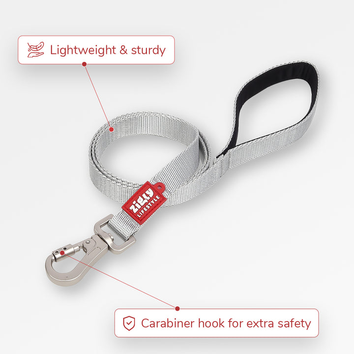 ZL Classic Dog Leash Silver