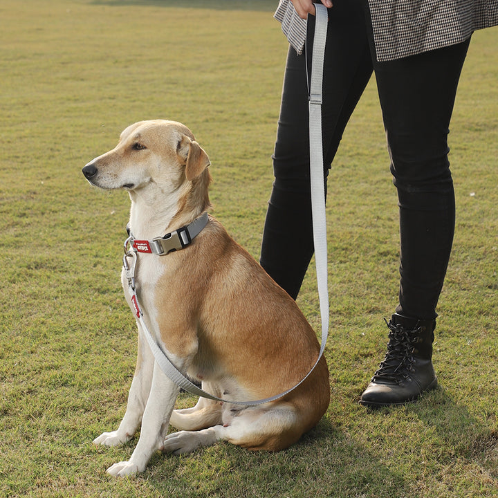 ZL Classic Dog Leash Silver