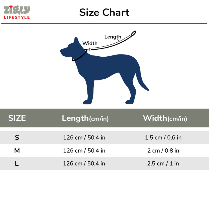 ZL Classic Dog Leash Silver