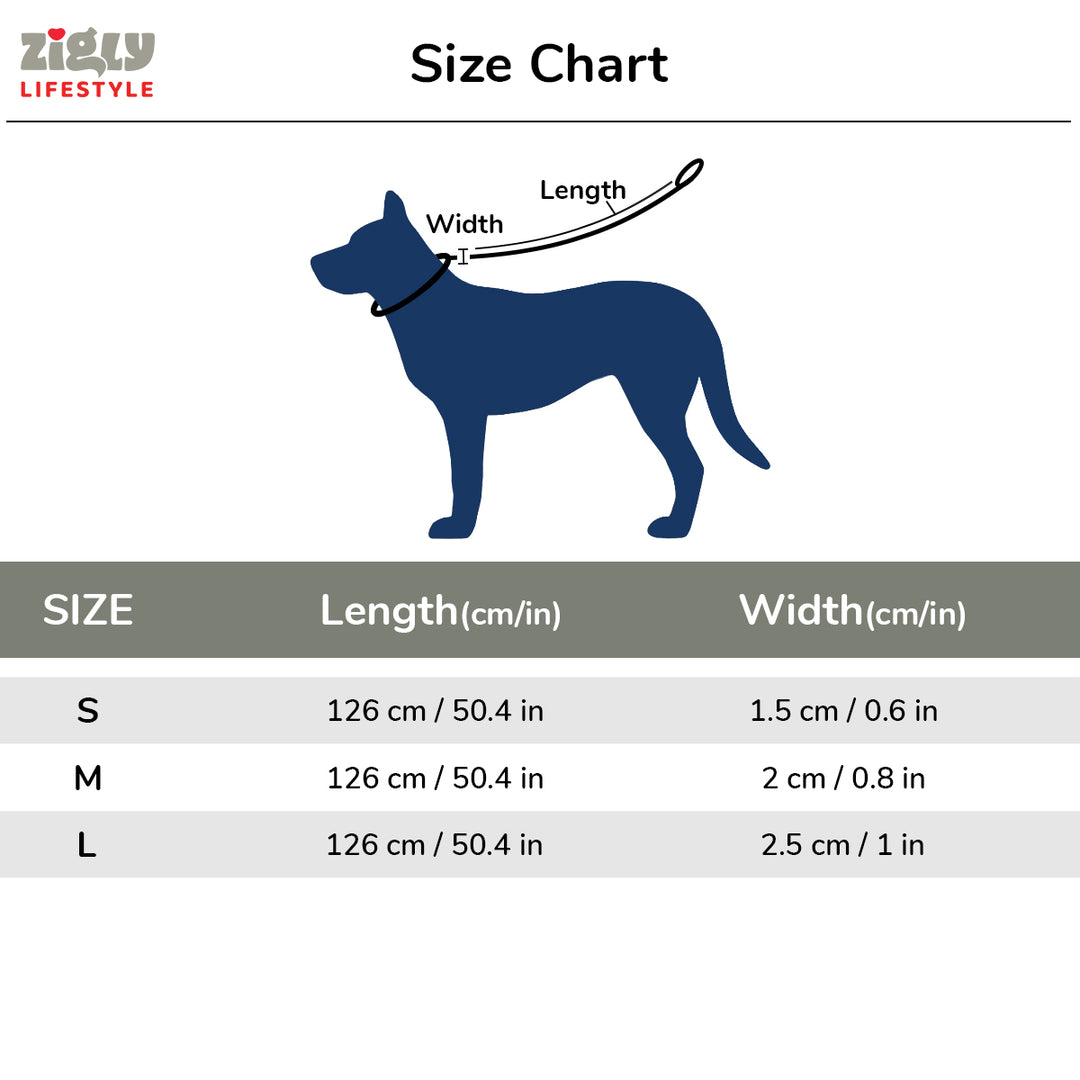 ZL Classic Dog Leash Silver