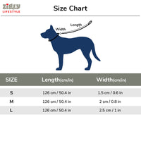 ZL Classic Dog Leash Silver
