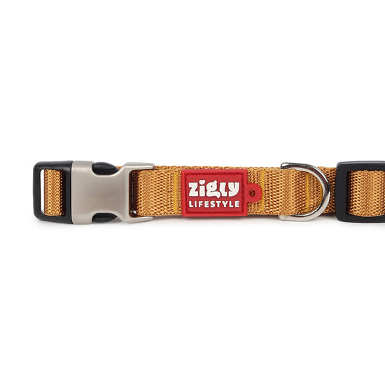 zl-classic-collar-gold