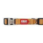 Zl Classic Gold Dog Collar - Zigly