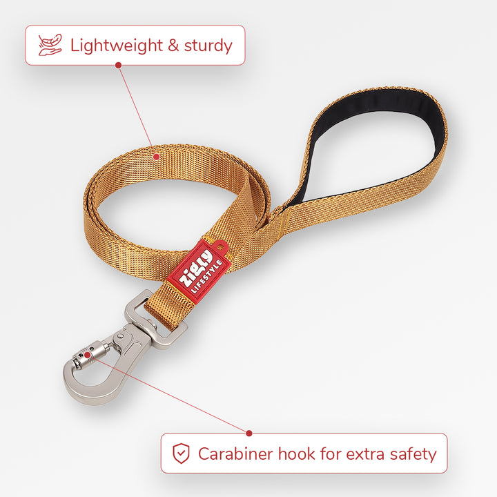 ZL Classic Dog Leash Gold