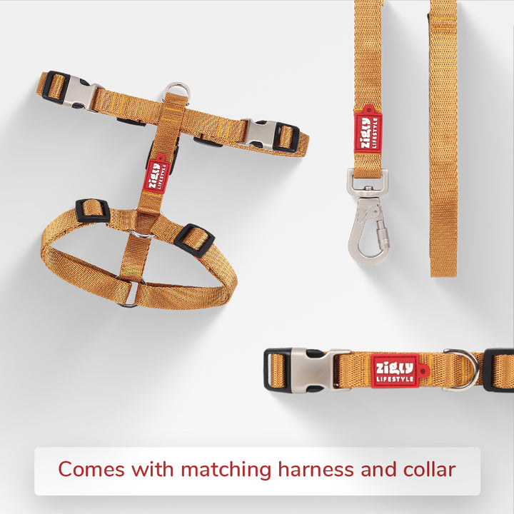 ZL Classic Dog Leash Gold