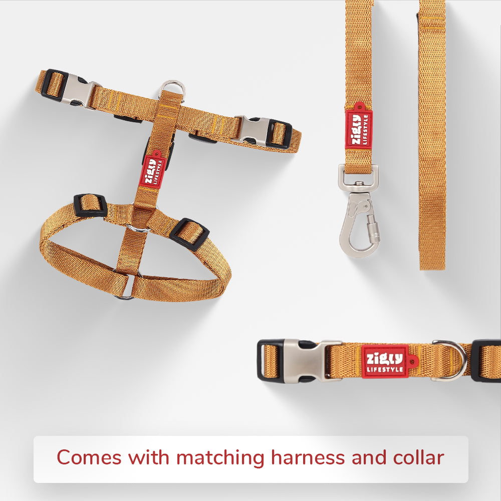 ZL Classic Dog Leash Gold