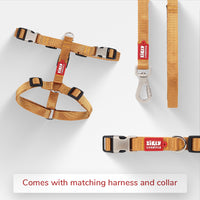 ZL Classic Dog Leash Gold