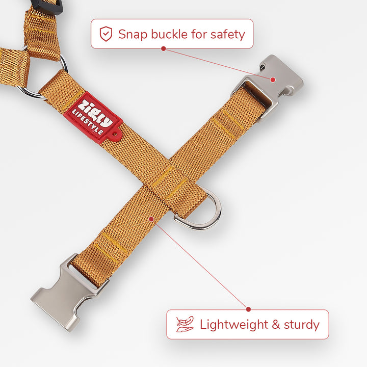 ZL Classic Dog H Harness Gold