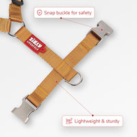 ZL Classic Dog H Harness Gold