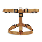 ZL Classic Dog H Harness Gold - Zigly