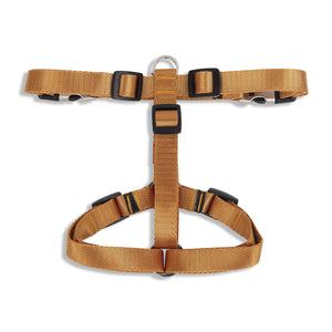 ZL Classic Dog H Harness Gold