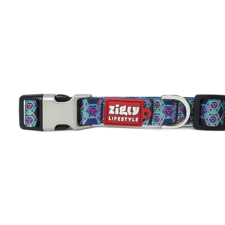 ZL Disco Dog Collar