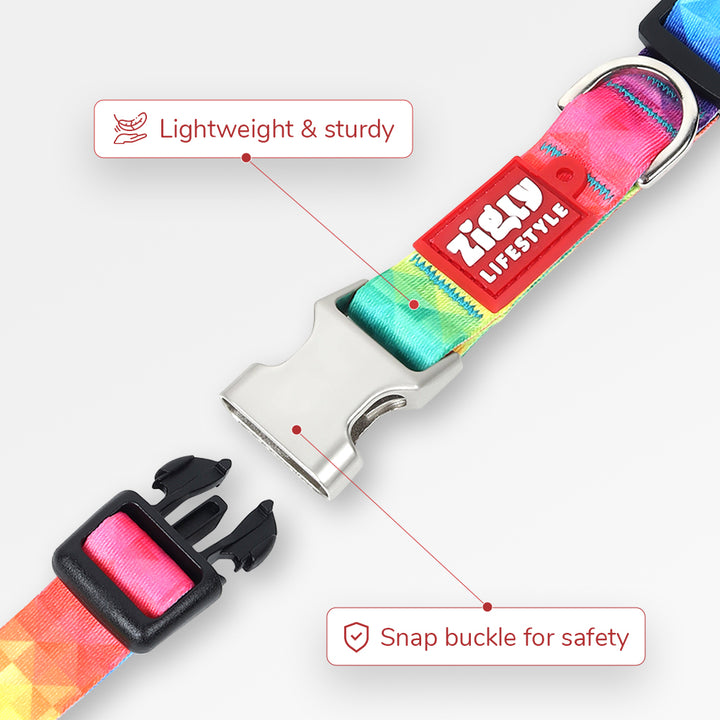 ZL Rainbow Dog Collar