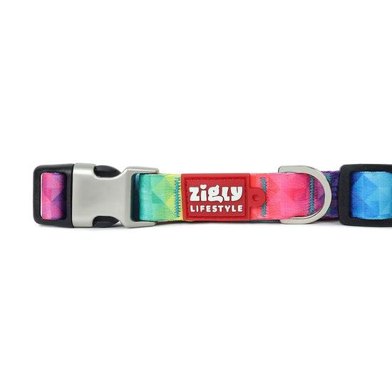zl-rainbow-dog-collar