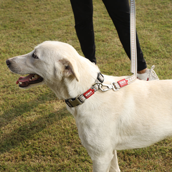 ZL Heritage Dog Collar