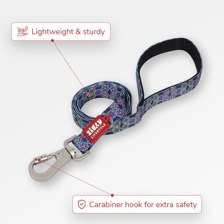 ZL Disco Dog Leash
