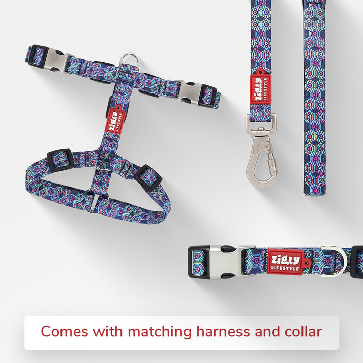 ZL Disco Dog Leash