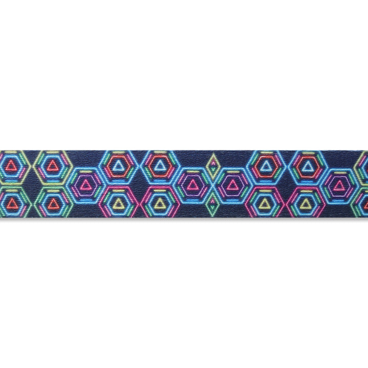 ZL Disco Dog Leash