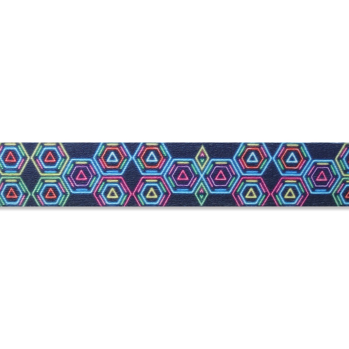 ZL Disco Dog Leash