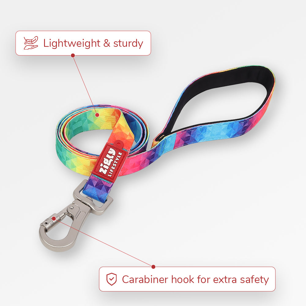 ZL Rainbow Dog Leash