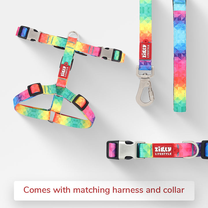 ZL Rainbow Dog Leash