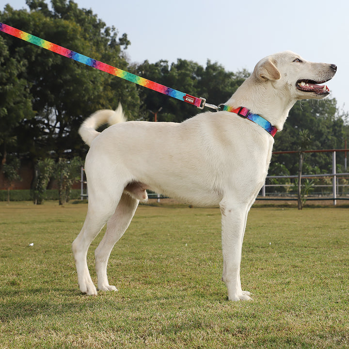 ZL Rainbow Dog Leash